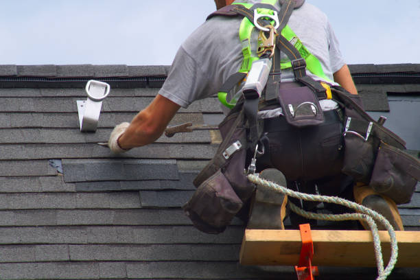 Best New Roof Installation  in Berrien Springs, MI