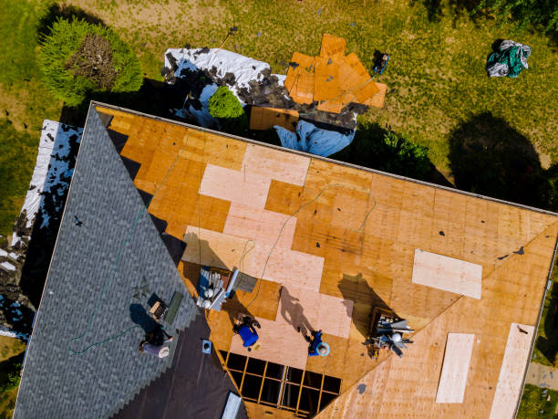 Best Best Roofing Contractors  in Berrien Springs, MI