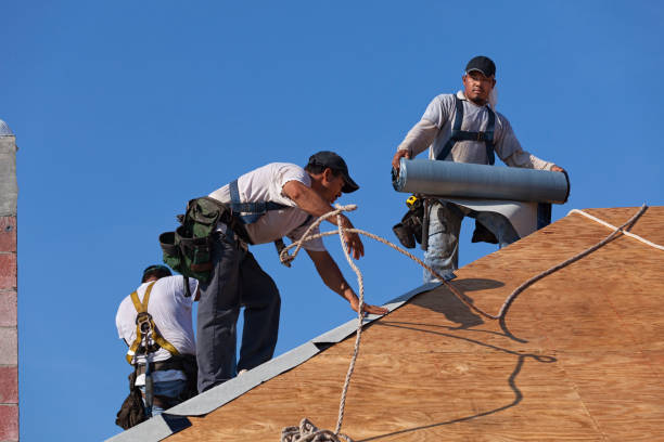Best Slate Roofing Contractor  in Berrien Springs, MI