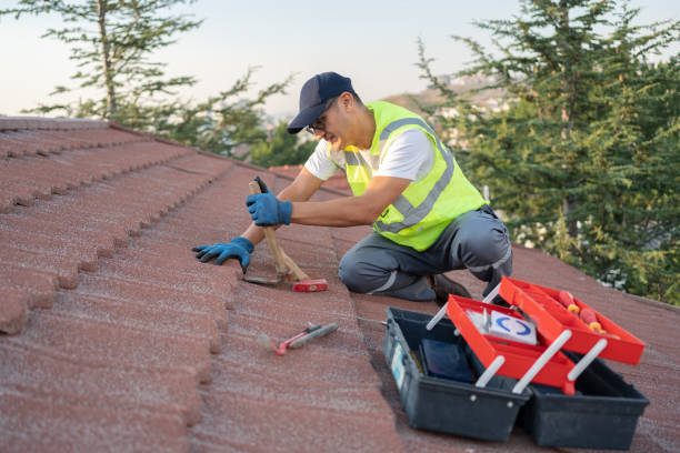 Best Tile Roofing Contractor  in Berrien Springs, MI