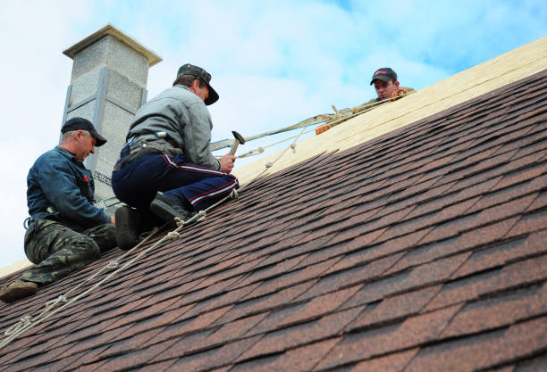 Best Residential Roofing Contractor  in Berrien Springs, MI